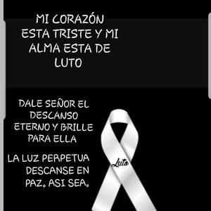 Meet your Posher, Bertha